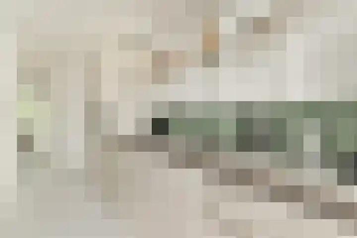 Theophilusstraat 15 1 Amsterdam thumbnail 12