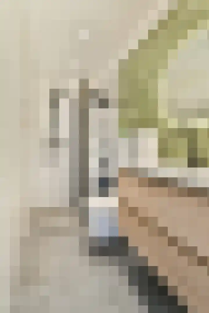 Theophilusstraat 15 1 Amsterdam thumbnail 18