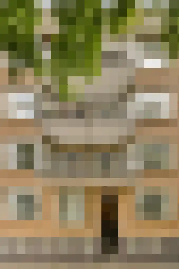 Theophilusstraat 15 1 Amsterdam thumbnail 22