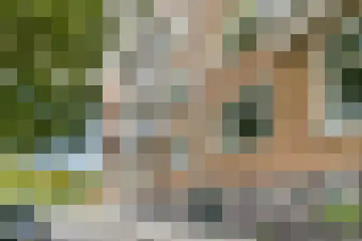 Theophilusstraat 15 1 Amsterdam thumbnail 23