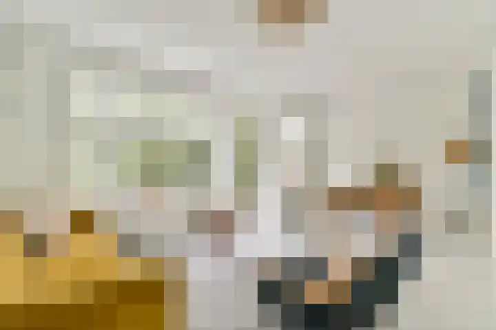 Theophilusstraat 15 1 Amsterdam thumbnail 5
