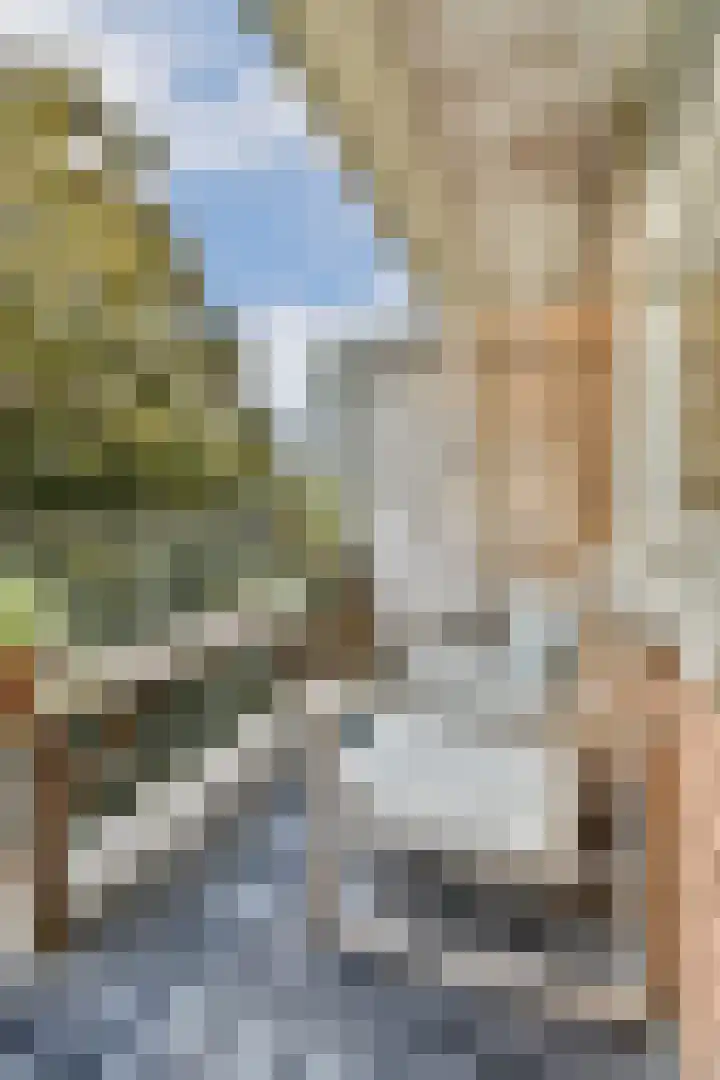 Theophilusstraat 15 1 Amsterdam thumbnail 7