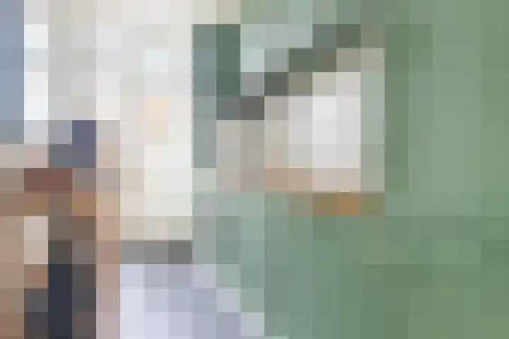 Theophilusstraat 3 H Amsterdam thumbnail 10