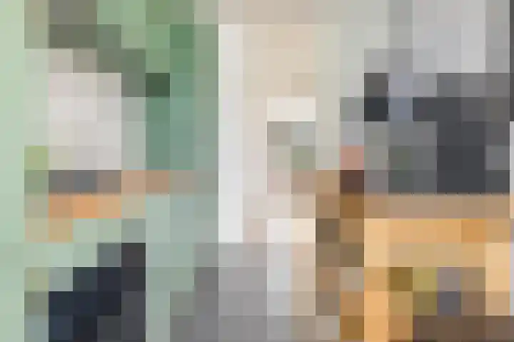 Theophilusstraat 3 H Amsterdam thumbnail 11