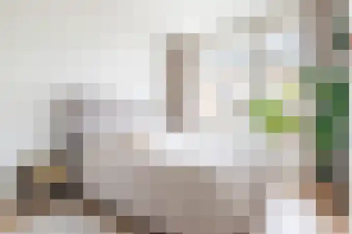 Theophilusstraat 3 H Amsterdam thumbnail 14