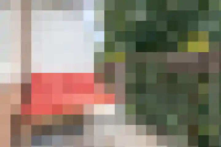 Theophilusstraat 3 H Amsterdam thumbnail 20
