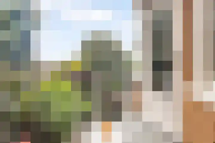 Theophilusstraat 3 H Amsterdam thumbnail 21