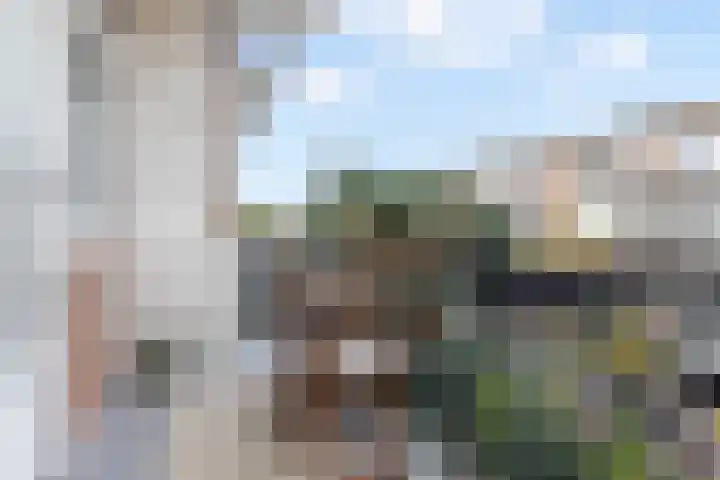 Theophilusstraat 3 H Amsterdam thumbnail 22