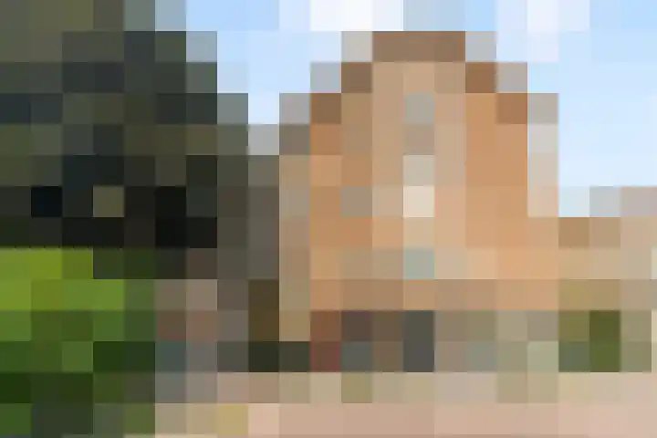 Theophilusstraat 3 H Amsterdam thumbnail 26