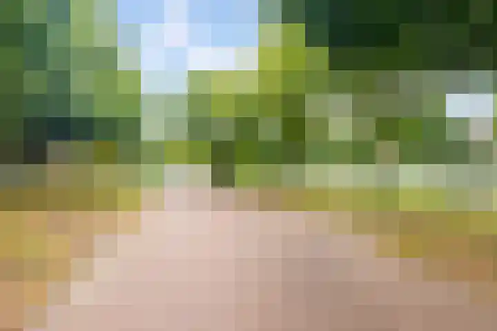 Theophilusstraat 3 H Amsterdam thumbnail 28