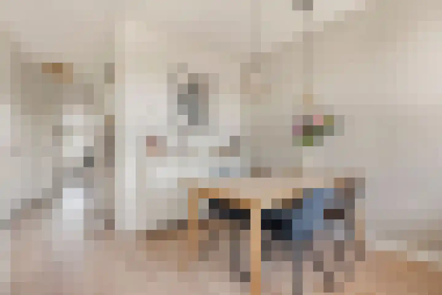 Theophilusstraat 4 3 Amsterdam thumbnail 12