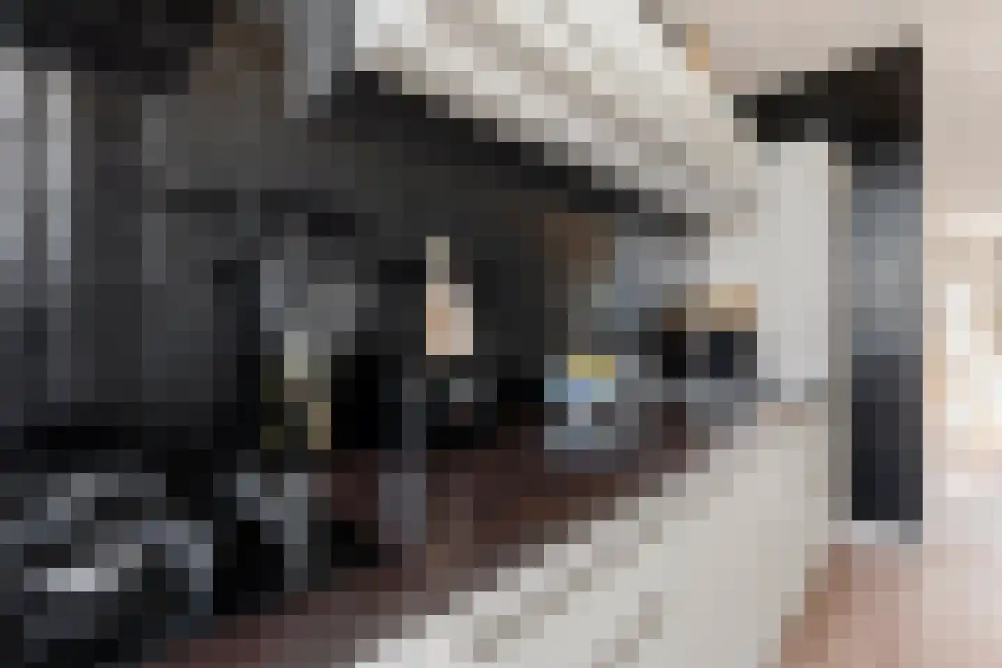 Theophilusstraat 4 3 Amsterdam thumbnail 15