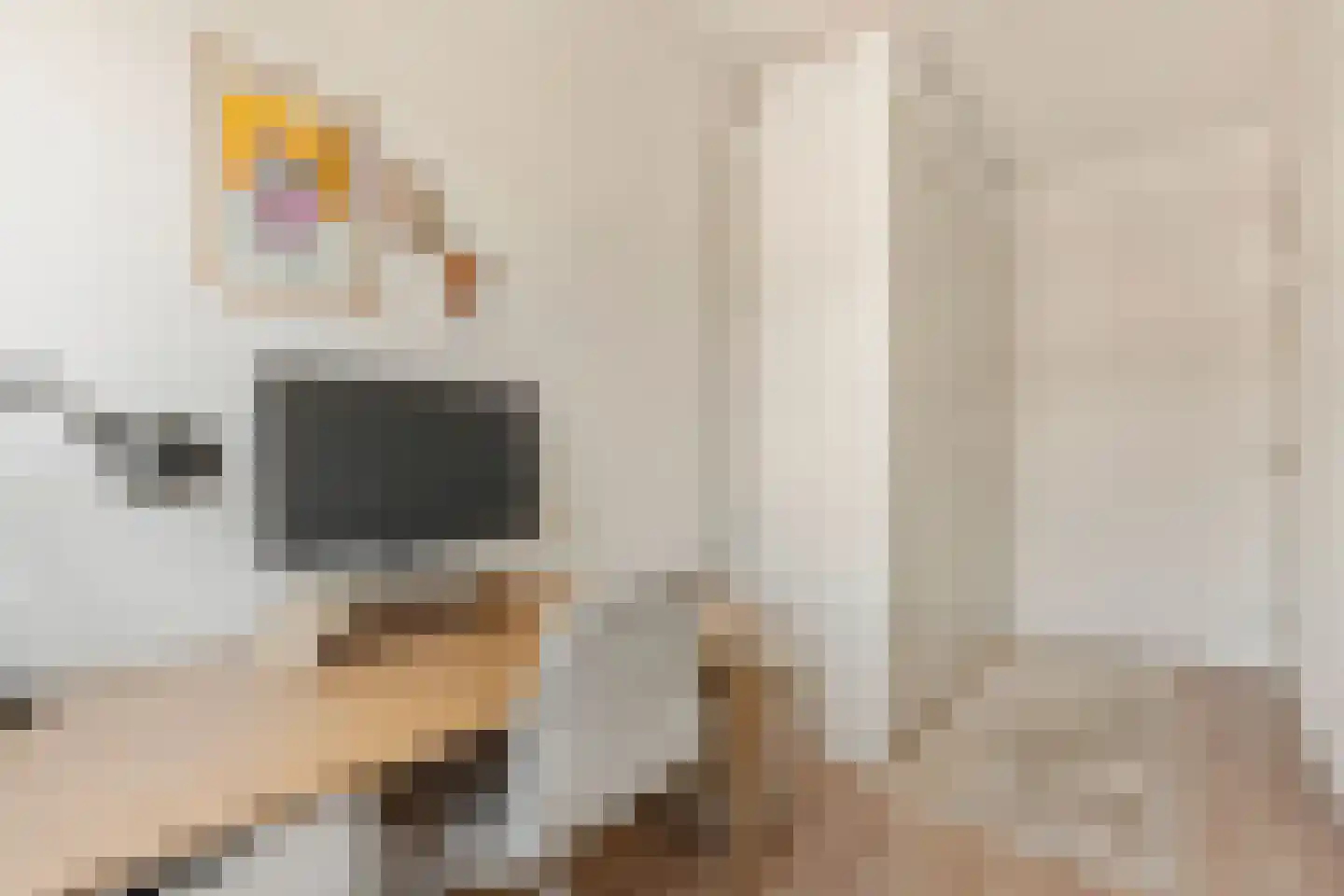 Theophilusstraat 4 3 Amsterdam thumbnail 23