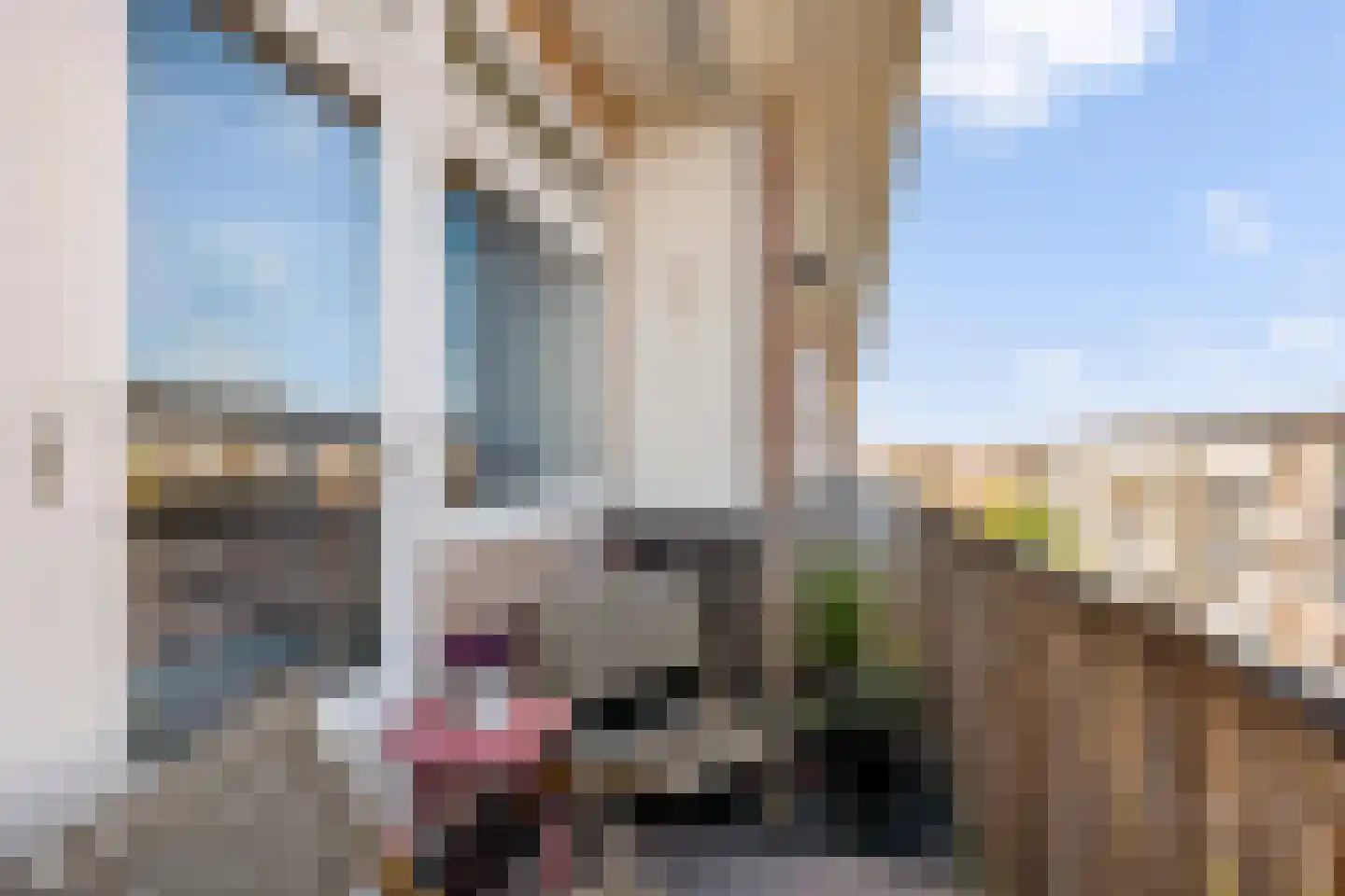 Theophilusstraat 4 3 Amsterdam thumbnail 28