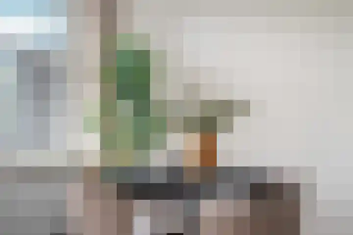 Theophilusstraat 8 H Amsterdam thumbnail 14