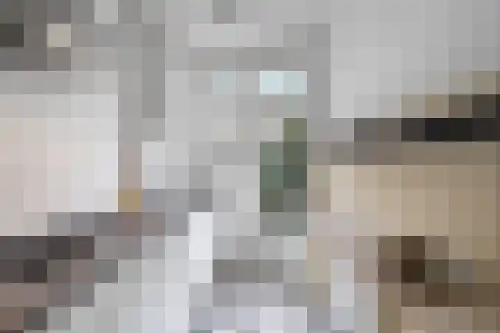 Theophilusstraat 8 H Amsterdam thumbnail 23
