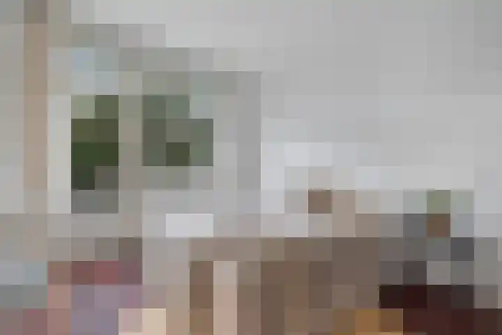 Theophilusstraat 8 H Amsterdam thumbnail 5