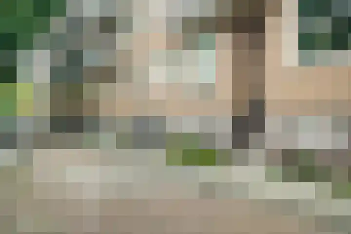 Theophilusstraat 8 H Amsterdam thumbnail 6