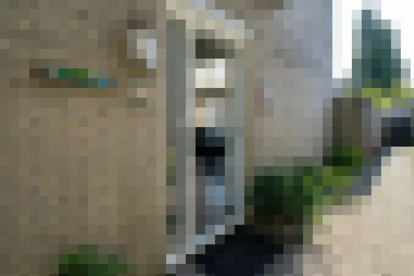 Theresastraat 15 Enschede thumbnail 42