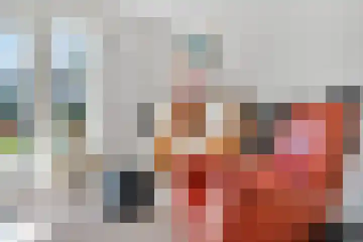 Thérèse Schwartzelaan 8 Enschede thumbnail 11