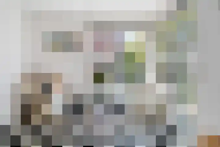 Thérèse Schwartzelaan 8 Enschede thumbnail 16