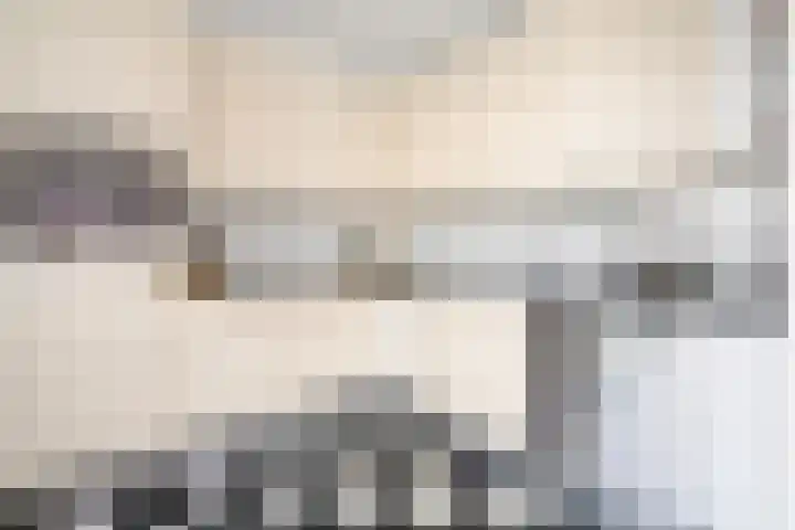 Thérèse Schwartzelaan 8 Enschede thumbnail 17