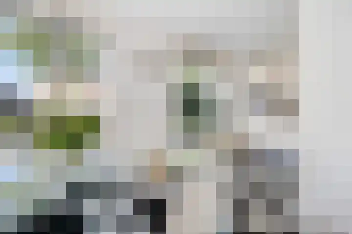 Thérèse Schwartzelaan 8 Enschede thumbnail 18