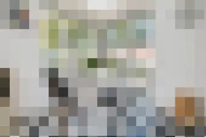 Thérèse Schwartzelaan 8 Enschede thumbnail 20
