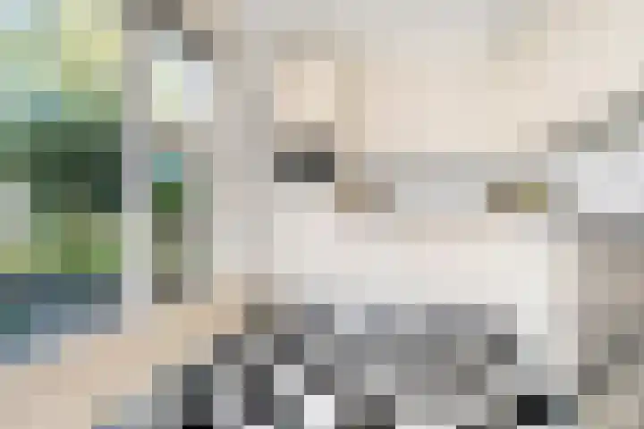 Thérèse Schwartzelaan 8 Enschede thumbnail 22