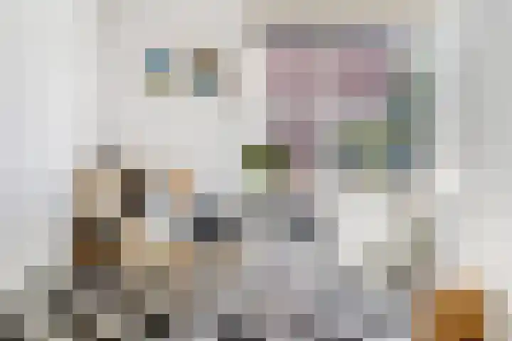 Thérèse Schwartzelaan 8 Enschede thumbnail 23