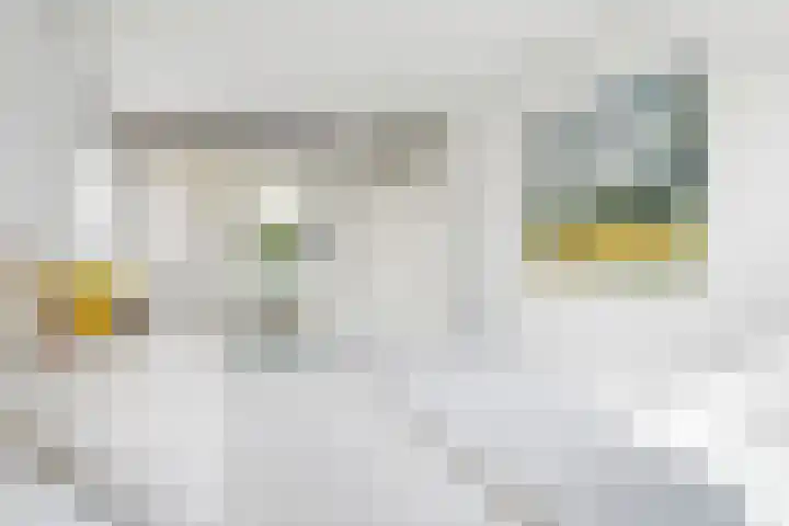 Thérèse Schwartzelaan 8 Enschede thumbnail 31