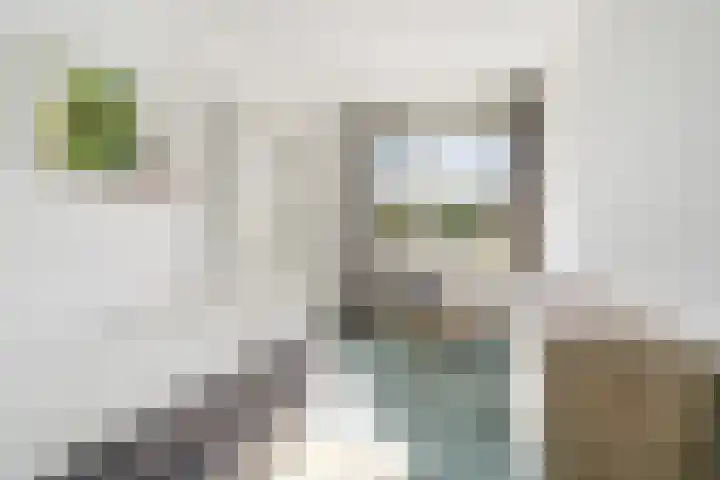 Thérèse Schwartzelaan 8 Enschede thumbnail 33