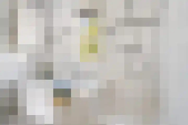 Thérèse Schwartzelaan 8 Enschede thumbnail 39