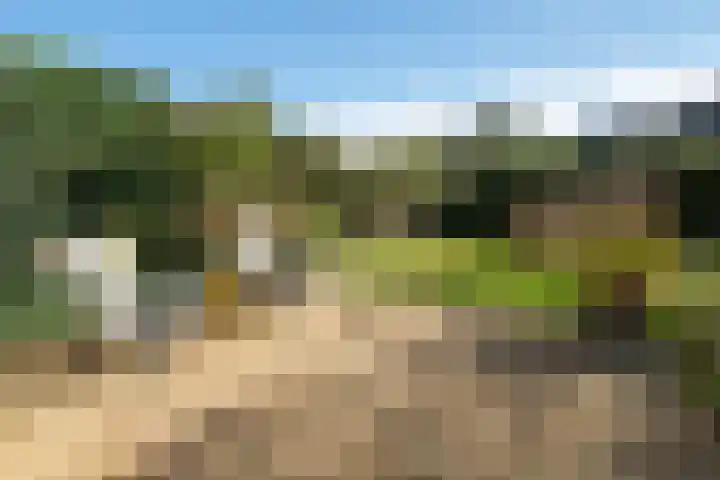 Thérèse Schwartzelaan 8 Enschede thumbnail 4
