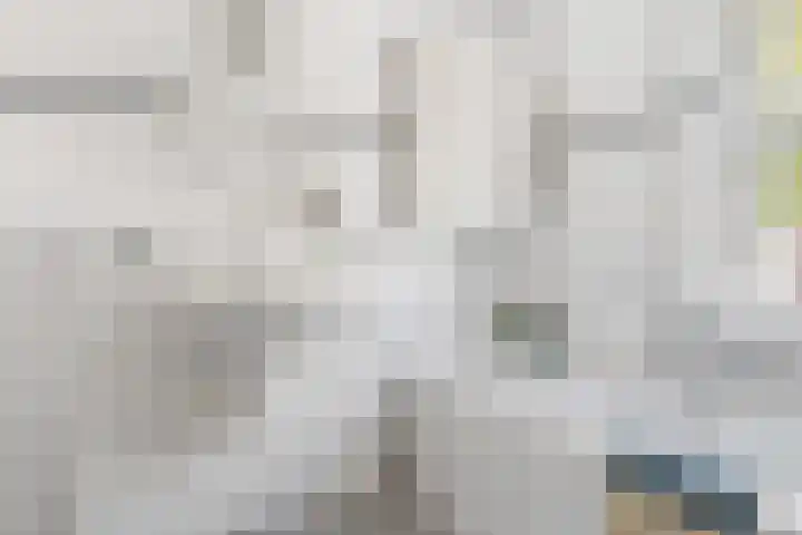 Thérèse Schwartzelaan 8 Enschede thumbnail 40