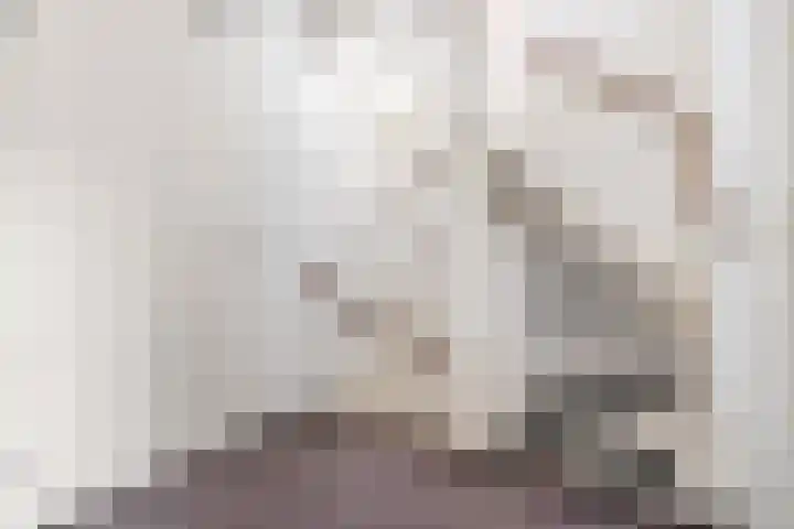 Thérèse Schwartzelaan 8 Enschede thumbnail 42