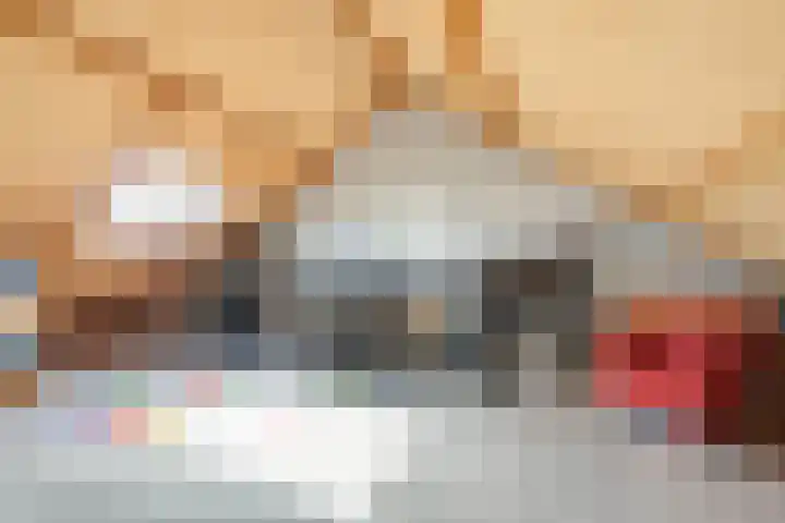 Thérèse Schwartzelaan 8 Enschede thumbnail 43