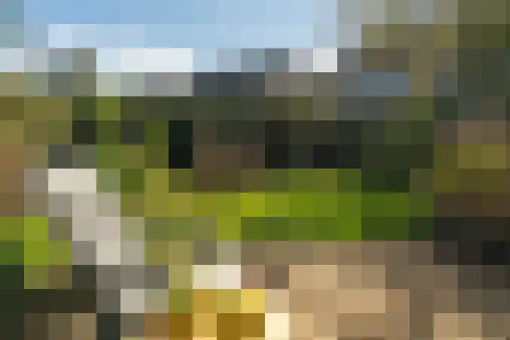 Thérèse Schwartzelaan 8 Enschede thumbnail 49
