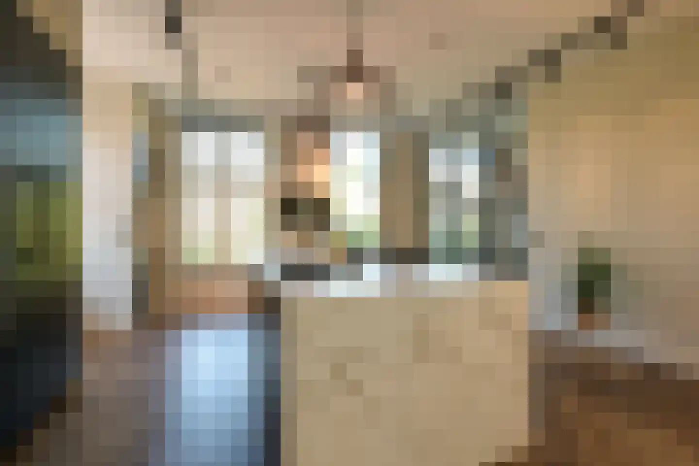 Thérèse Schwartzestraat 101 Den Haag thumbnail 15