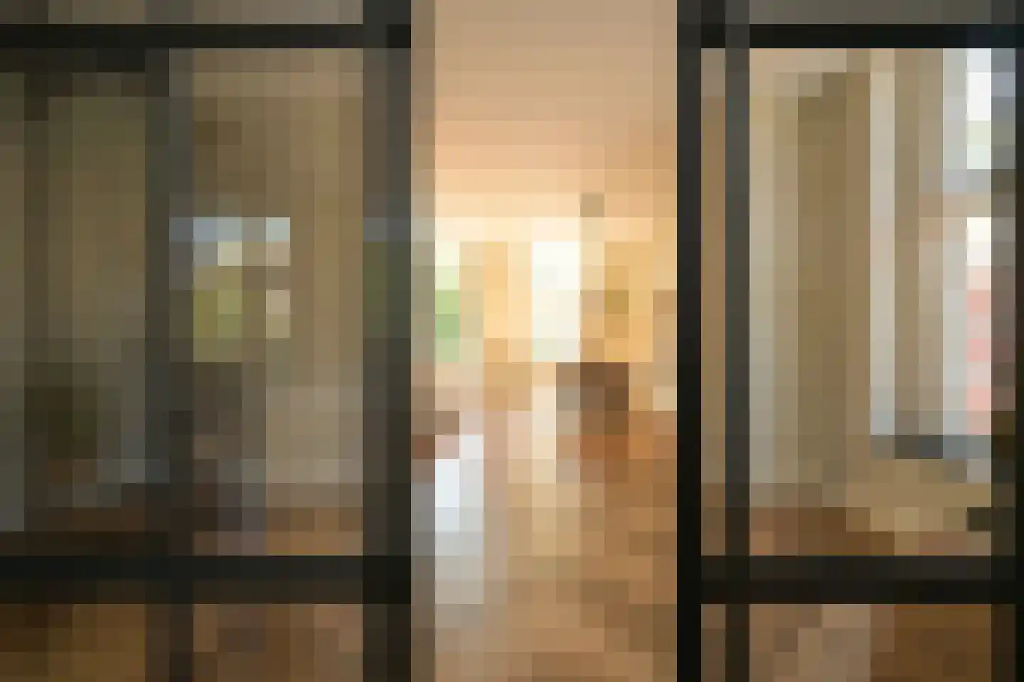 Thérèse Schwartzestraat 101 Den Haag thumbnail 20