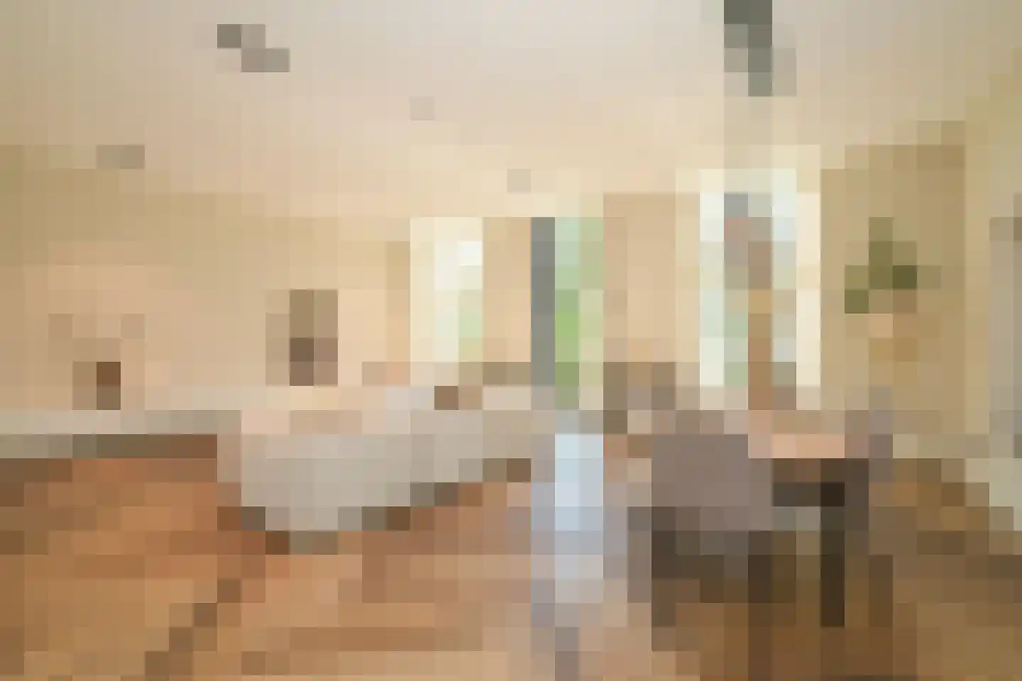 Thérèse Schwartzestraat 101 Den Haag thumbnail 23