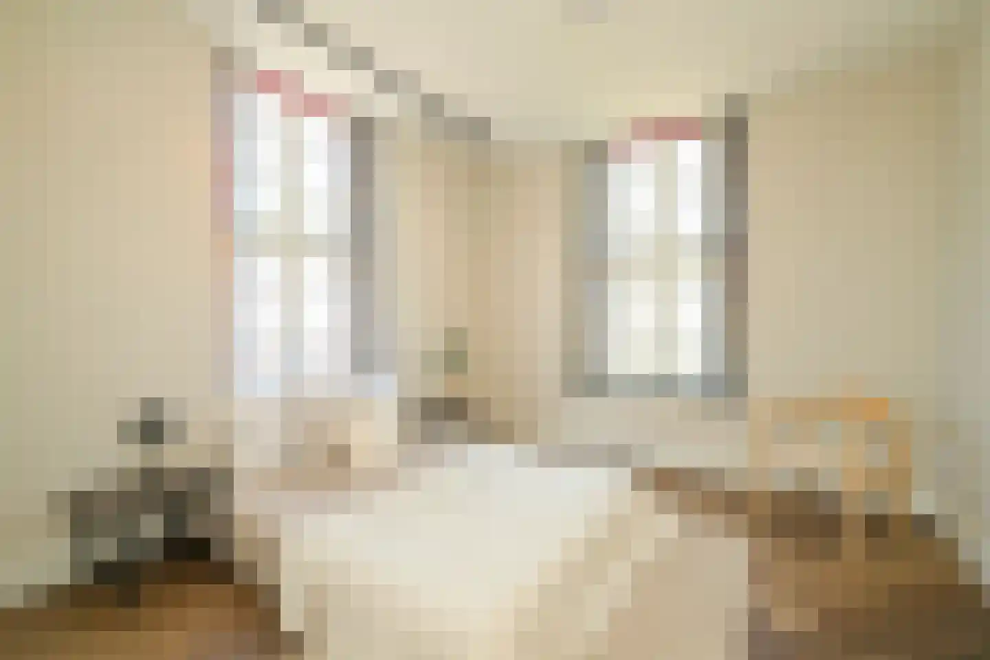 Thérèse Schwartzestraat 101 Den Haag thumbnail 52
