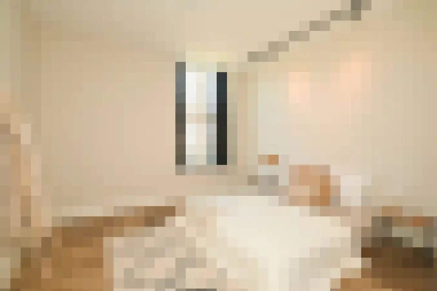 Thérèse Schwartzestraat 101 Den Haag thumbnail 55