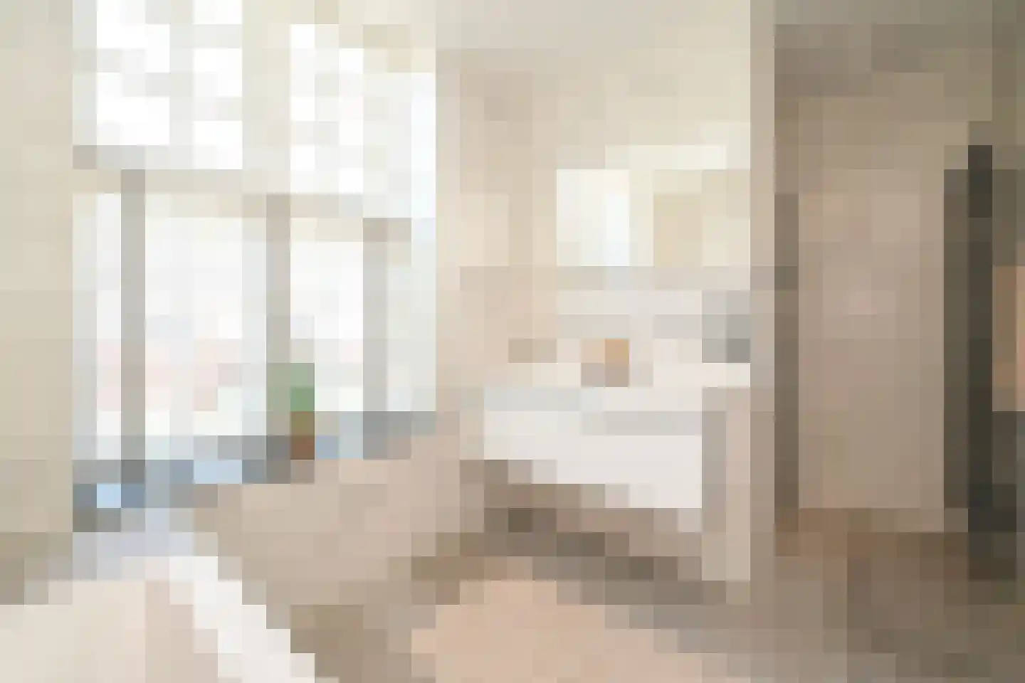 Thérèse Schwartzestraat 101 Den Haag thumbnail 58