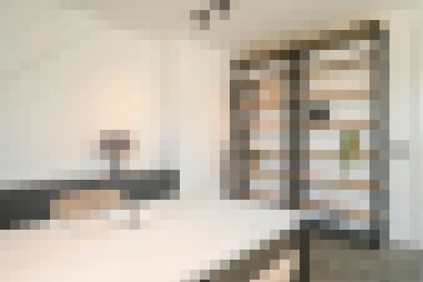 Thérèse Schwartzestraat 101 Den Haag thumbnail 63
