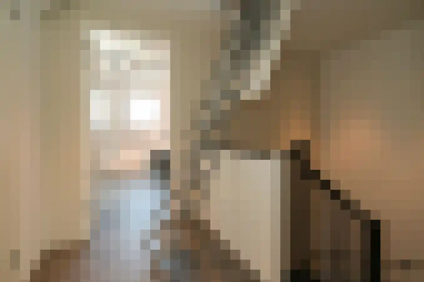 Thérèse Schwartzestraat 101 Den Haag thumbnail 66