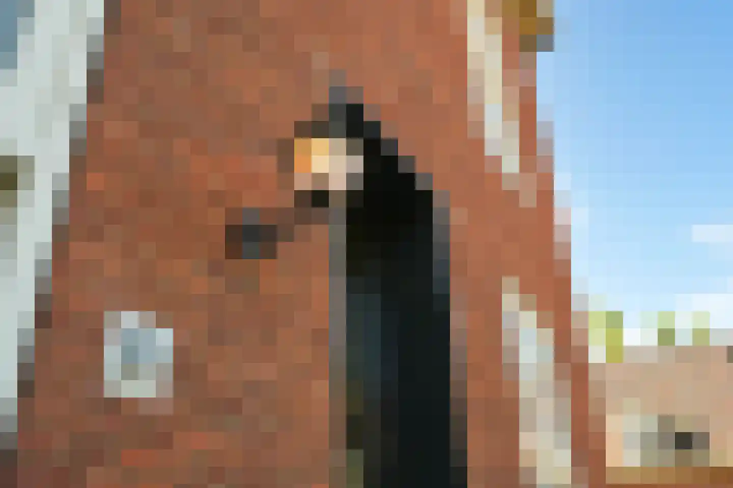 Thérèse Schwartzestraat 101 Den Haag thumbnail 68
