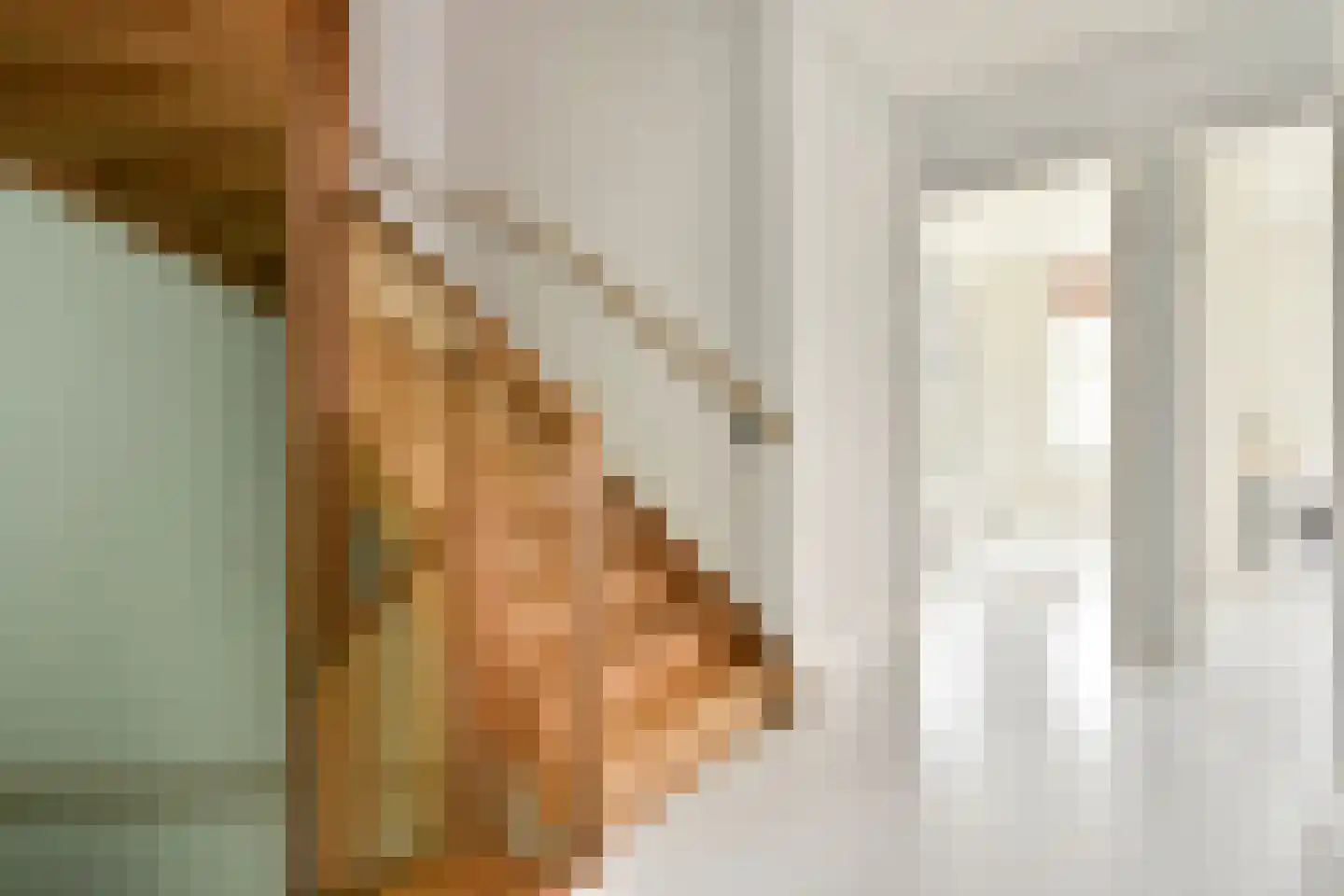 Thérèse Schwartzestraat 103 Den Haag thumbnail 19