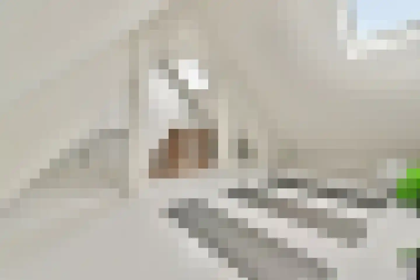 Thérèse Schwartzestraat 103 Den Haag thumbnail 44
