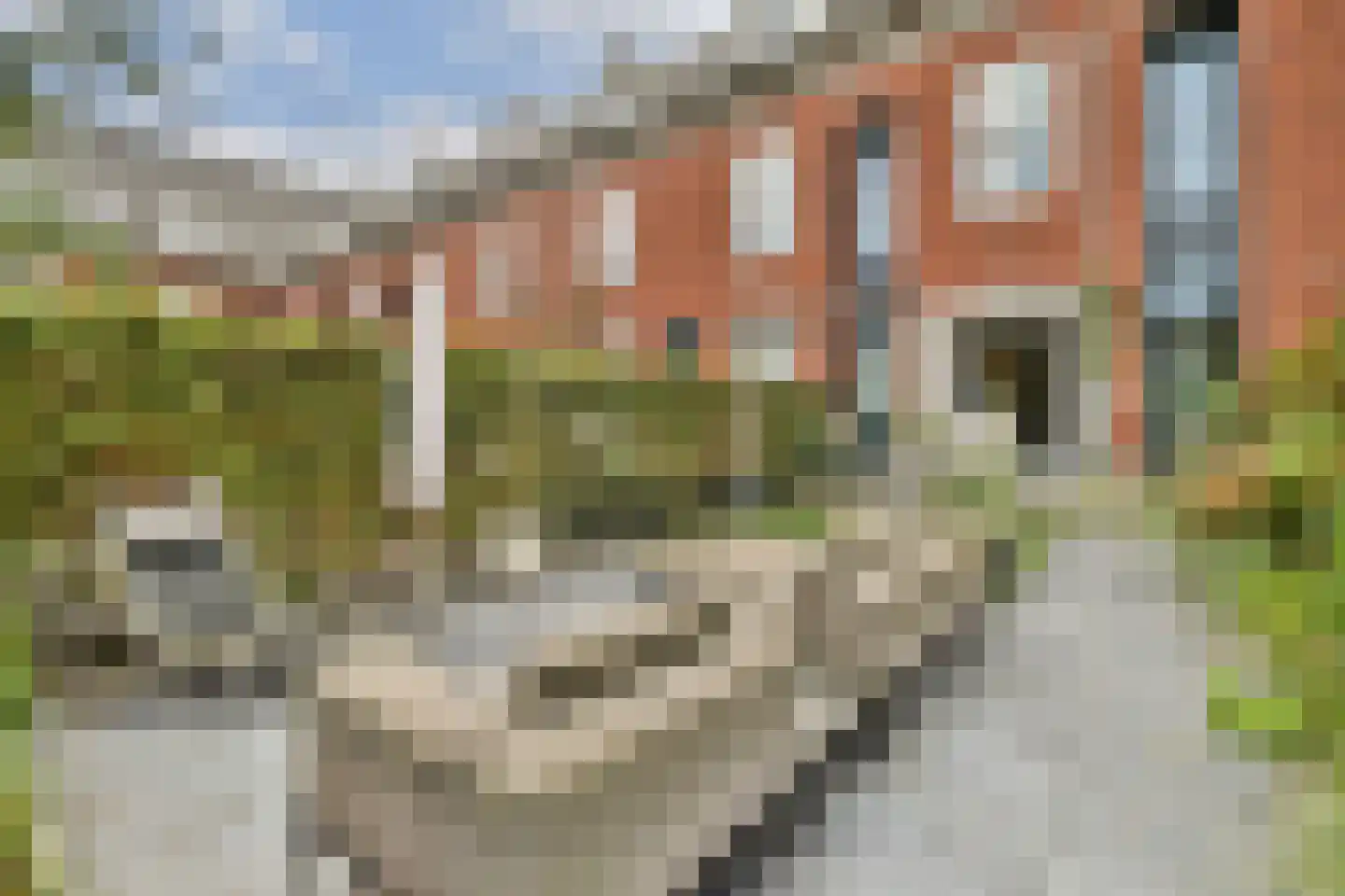 Thérèse Schwartzestraat 103 Den Haag thumbnail 50